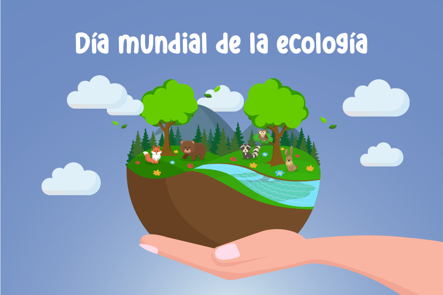 1 de Noviembre : Día mundial de la ecología